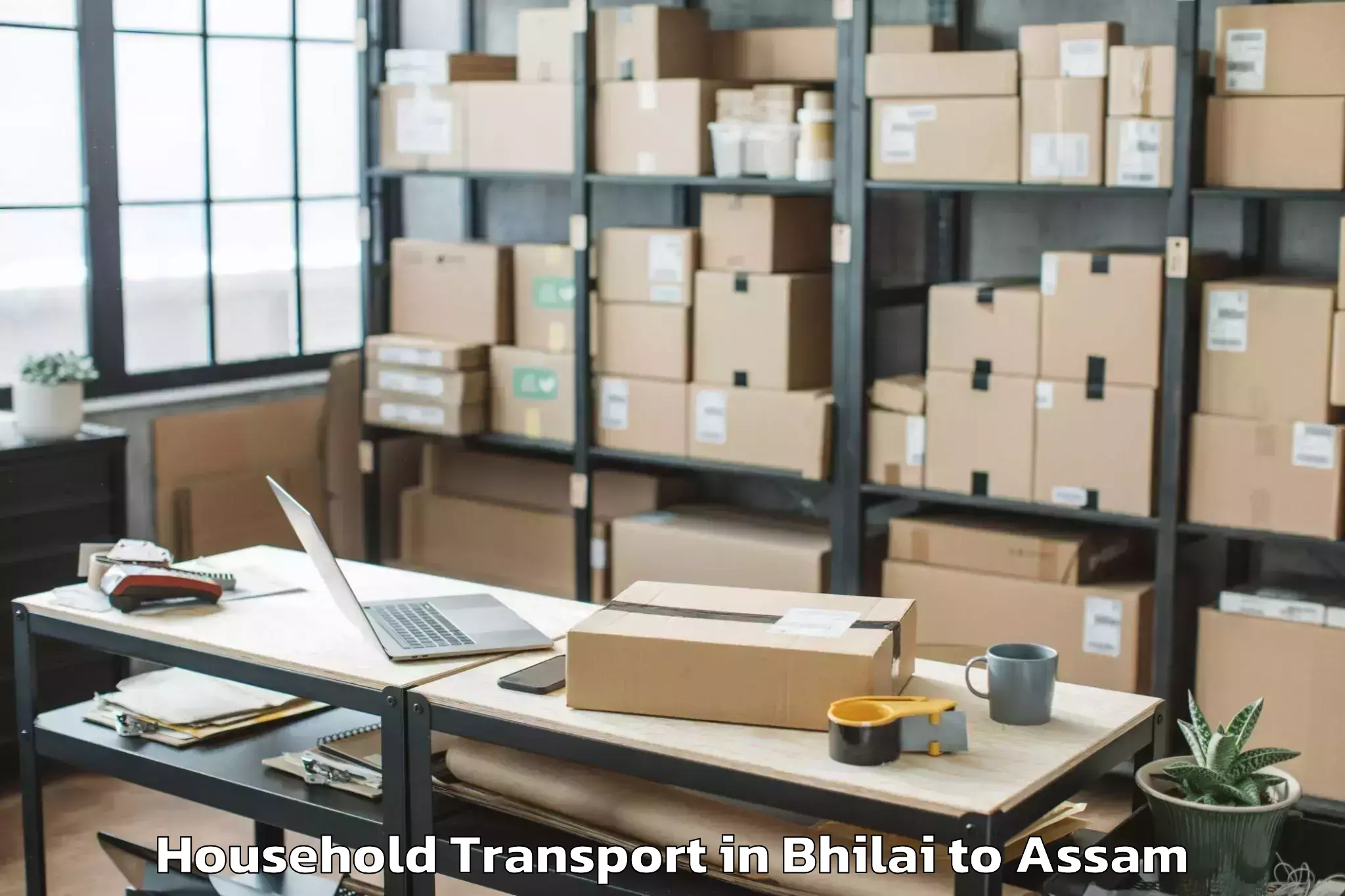 Trusted Bhilai to Mayong Household Transport